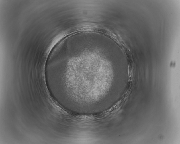 X0000090870099200708101342