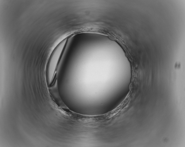 X0000090870100200708101342