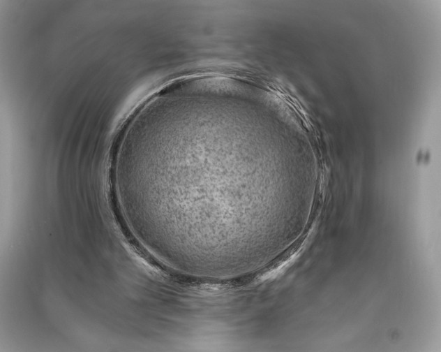 X0000090870101200708101342