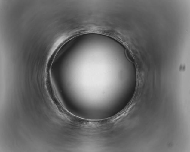 X0000090870102200708101342