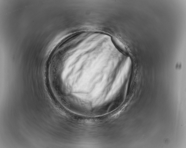 X0000090870103200708101342