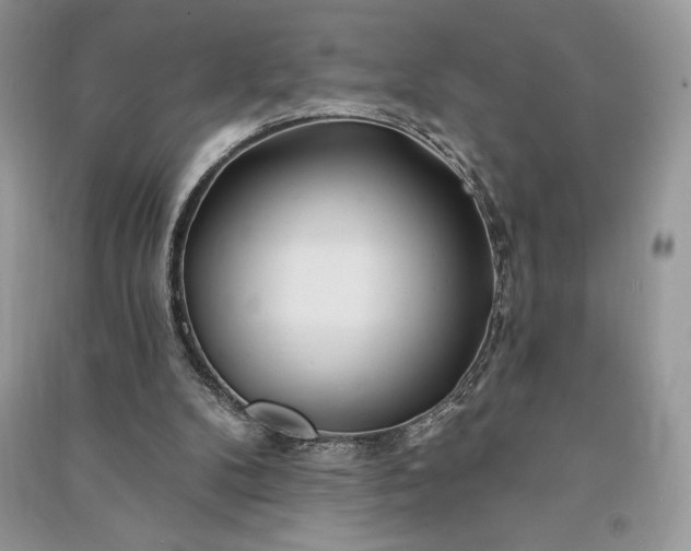 X0000090870104200708101342