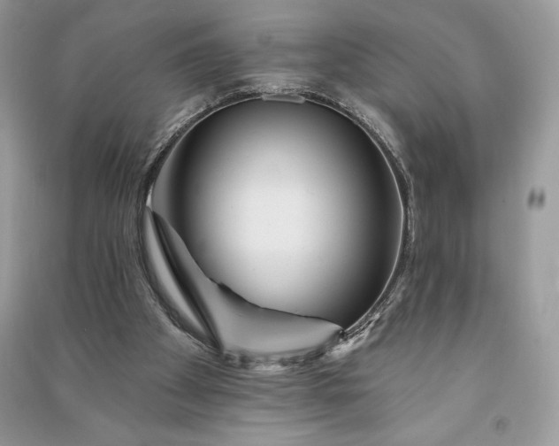 X0000090870105200708101342