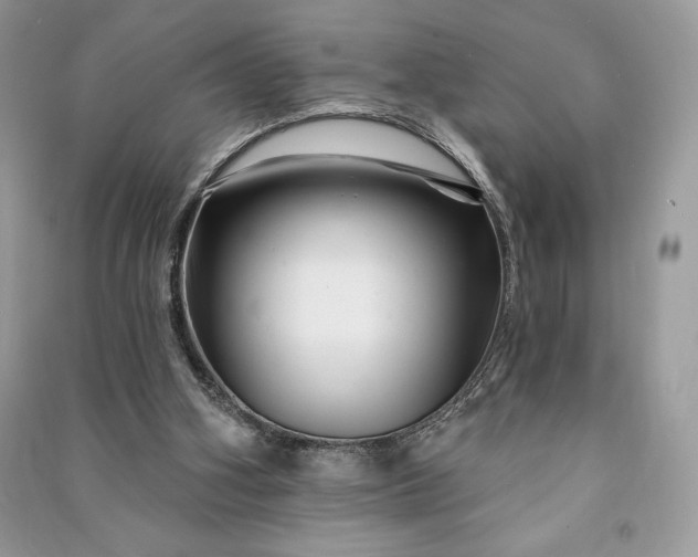 X0000090870106200708101342