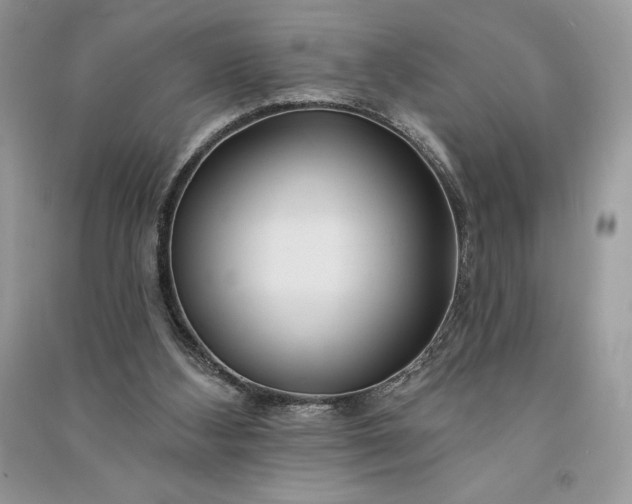 X0000090870108200708101342