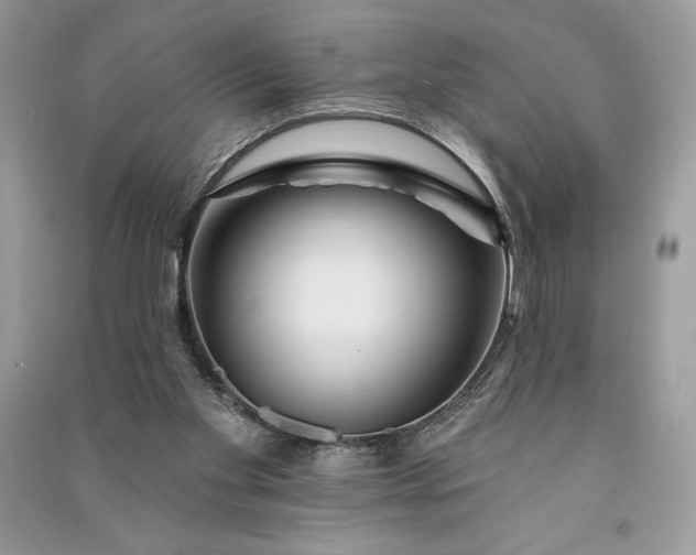 X0000090870109200708101342