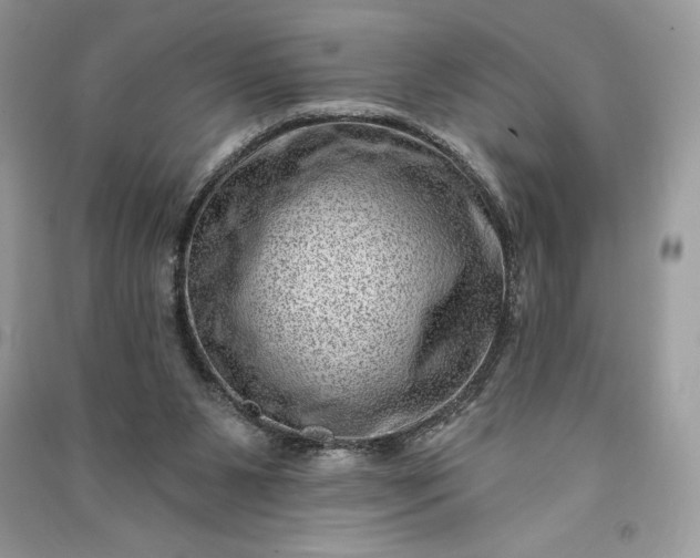 X0000090870111200708101342