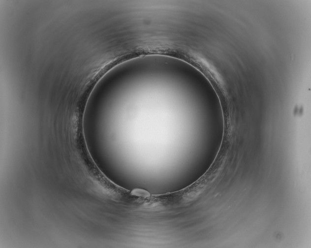 X0000090870113200708101342