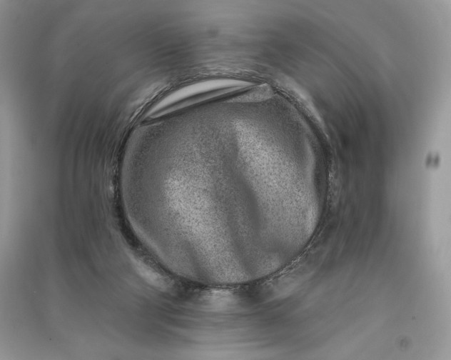 X0000090870114200708101341