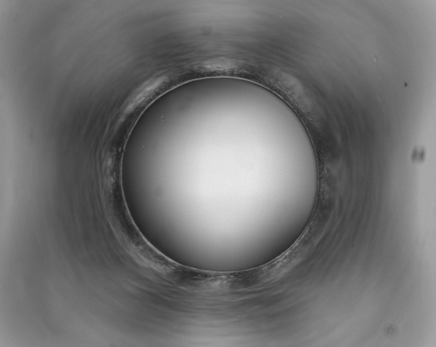 X0000090870116200708101341