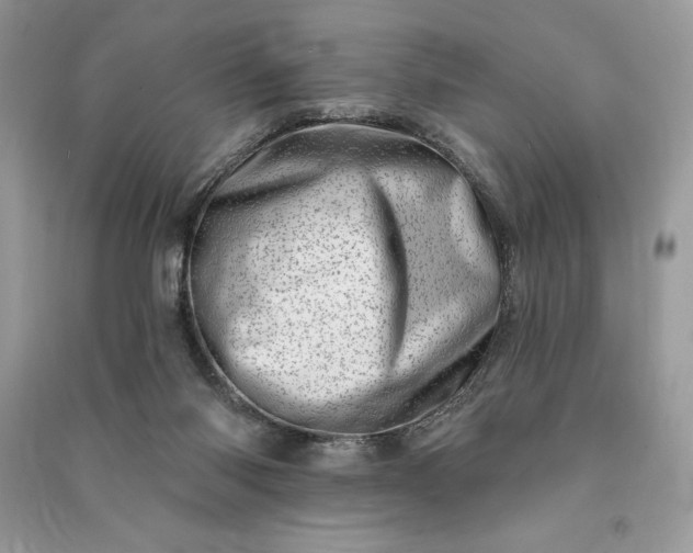 X0000090870118200708101341