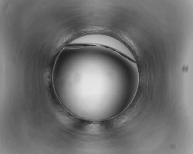 X0000090870119200708101341