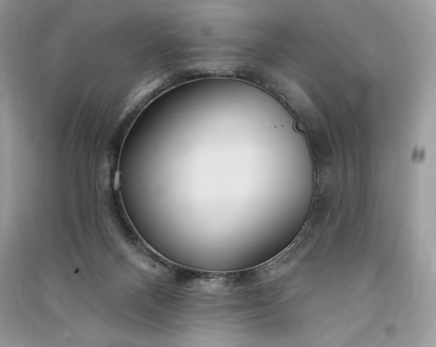 X0000090870120200708101341