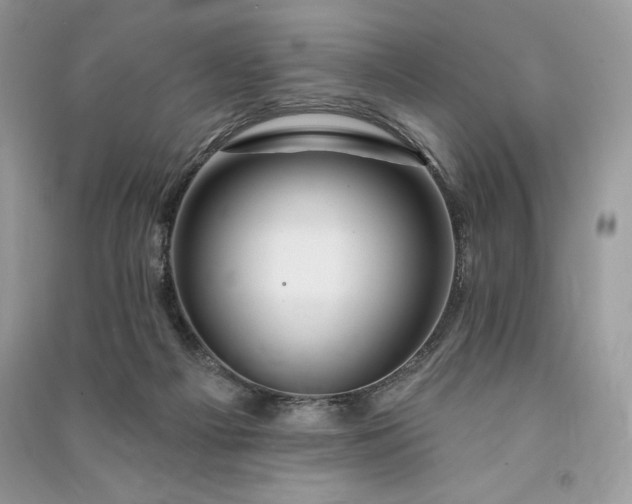 X0000090870121200708101341