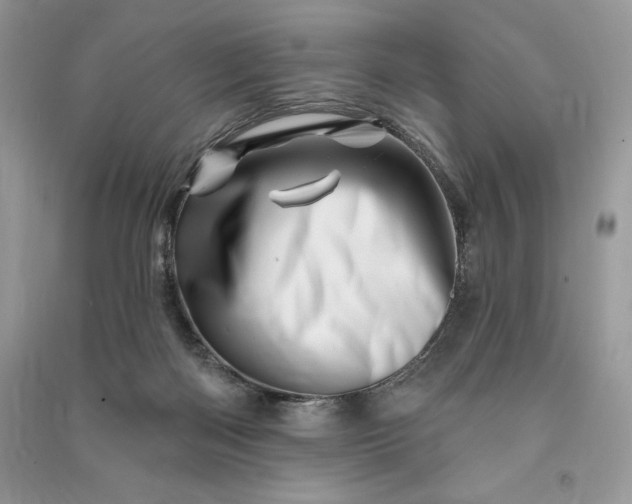 X0000090870122200708101341