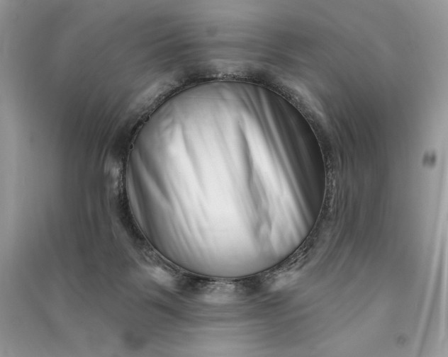 X0000090870123200708101341