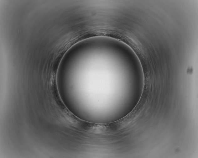 X0000090870125200708101341