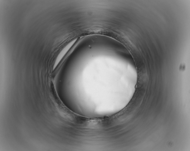 X0000090870126200708101341