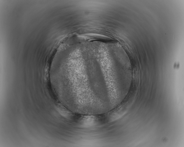 X0000090870127200708101341