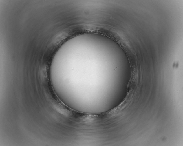 X0000090870128200708101341