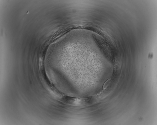 X0000090870130200708101341