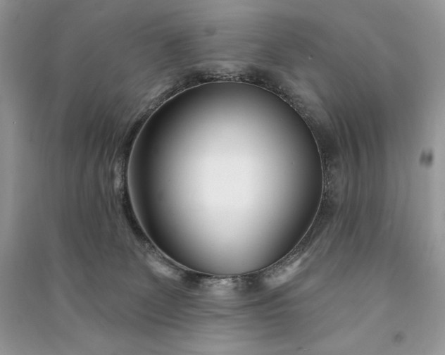 X0000090870131200708101341