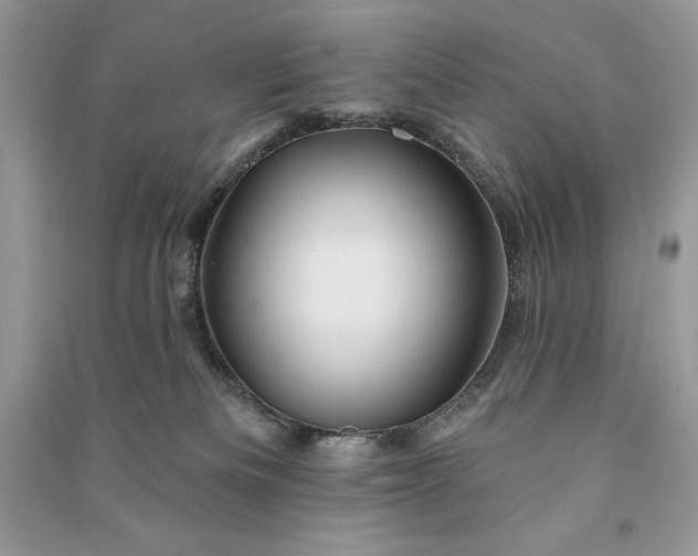 X0000090870133200708101341