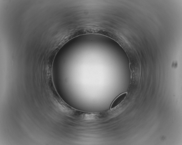 X0000090870134200708101341