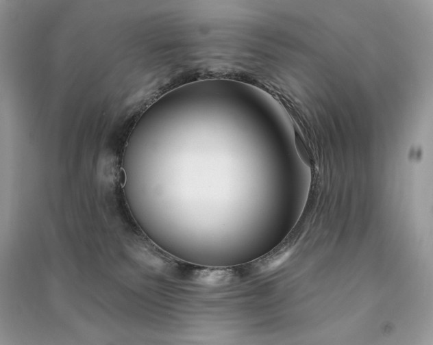 X0000090870135200708101341