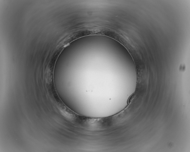 X0000090870136200708101341