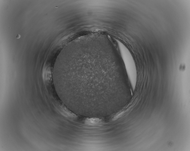 X0000090870137200708101341