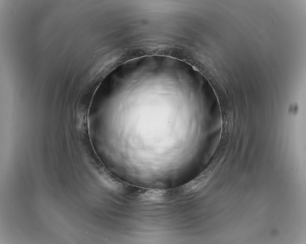 X0000090870138200708101341