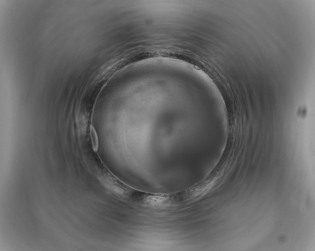 X0000090870139200708101341