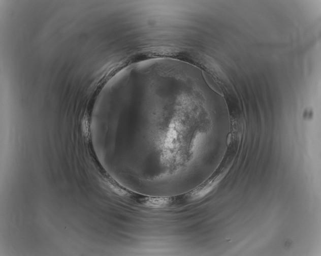 X0000090870143200708101341