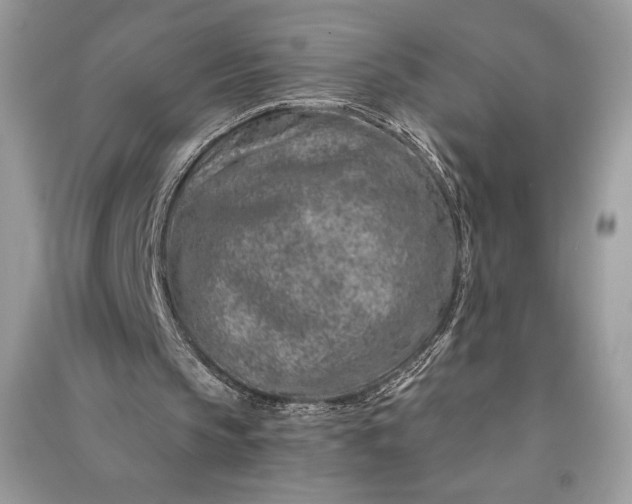 X0000090870145200708101341