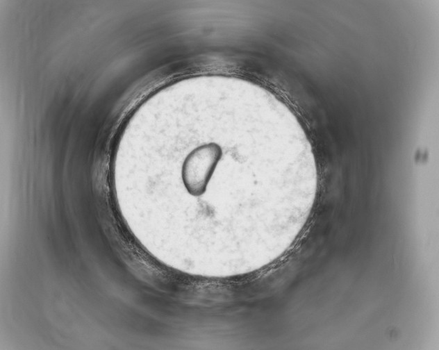 X0000090870146200708101341