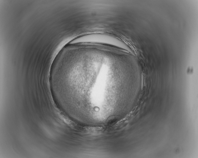 X0000090870147200708101341