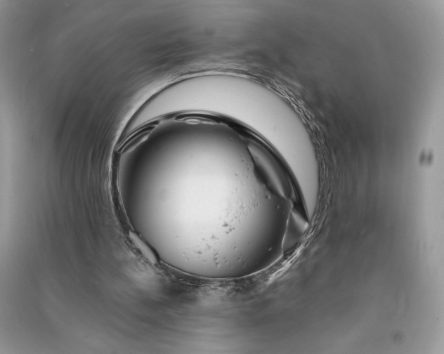 X0000090870148200708101341