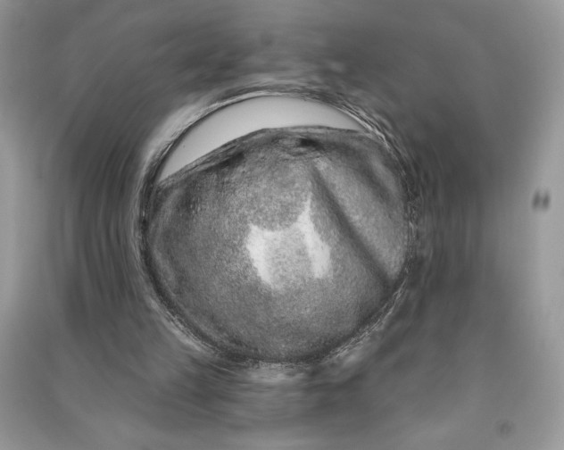 X0000090870149200708101341