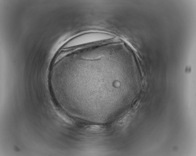 X0000090870151200708101341