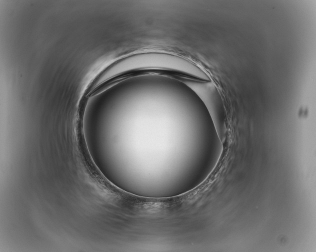 X0000090870152200708101341