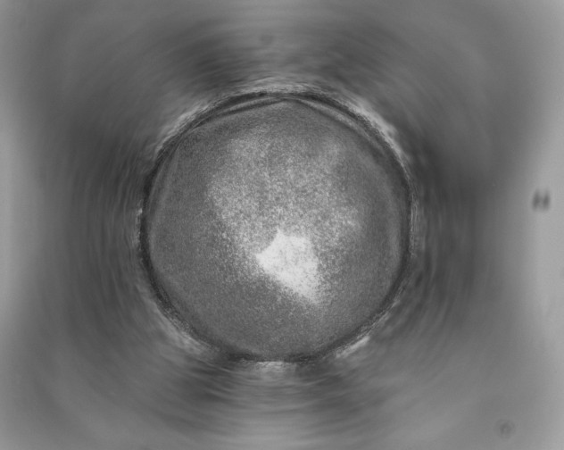 X0000090870153200708101341