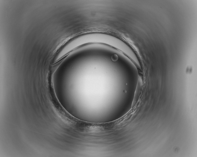 X0000090870154200708101341