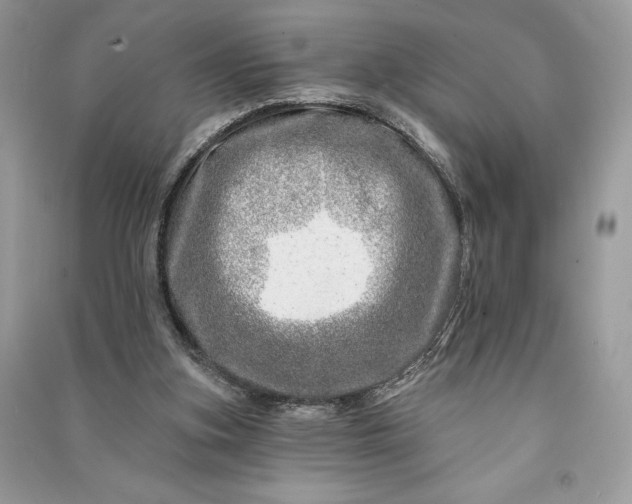 X0000090870155200708101341