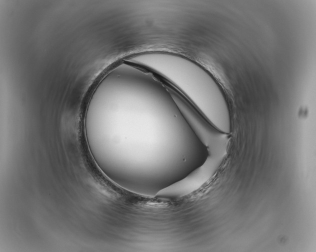 X0000090870156200708101341