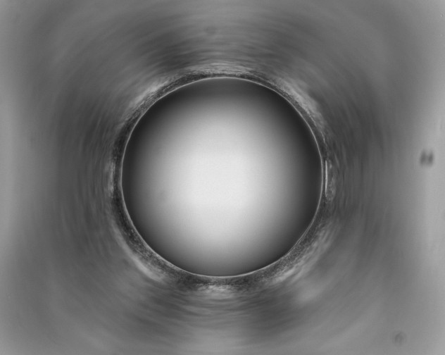 X0000090870157200708101341