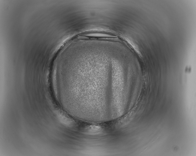 X0000090870159200708101341