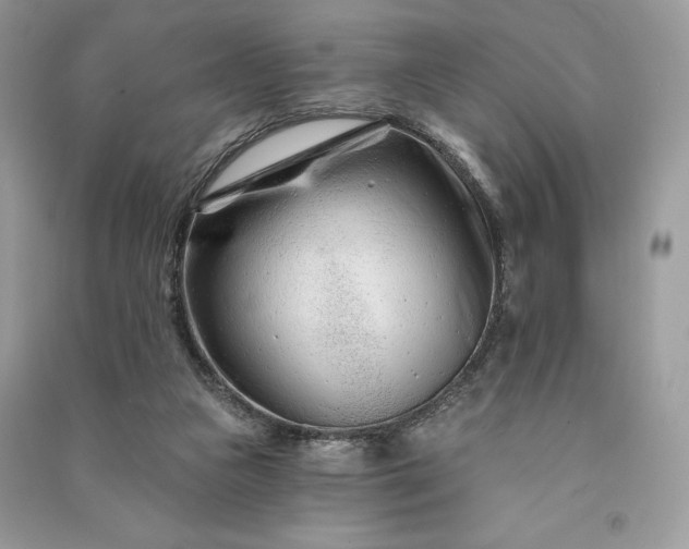 X0000090870161200708101341