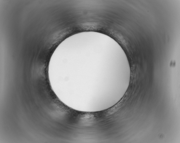 X0000090870162200708101341