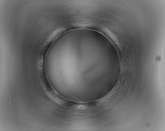 X0000090870163200708101341